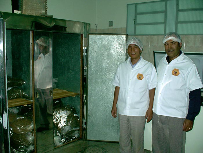 現代の阿部養庵堂薬品